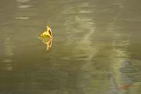 Cjp_2008_09_10_165517 (1).jpg